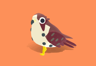 Bernie the Barbary Falcon